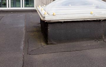 disadvantages of Tredogan flat roofs
