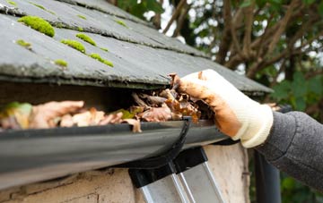 gutter cleaning Tredogan, The Vale Of Glamorgan