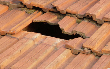 roof repair Tredogan, The Vale Of Glamorgan